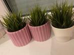 Nep plantjes in leuke bloempotten, Ophalen of Verzenden, Zo goed als nieuw, Minder dan 25 cm, Minder dan 100 cm