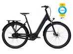 Giant DailyTour E+ 2 LDS, Fietsen en Brommers, Elektrische fietsen, Ophalen, Zo goed als nieuw, 50 km per accu of meer, Giant