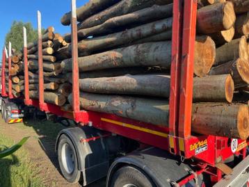 Stamhout, volle of halve vracht, Beuken, Vuren, Lariks beschikbaar voor biedingen
