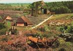 Garderen, melkbussen, schaapskudde, boerderij, Ophalen of Verzenden, 1980 tot heden, Gelopen, Gelderland