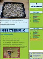 Insecten (pinkies, meelwormen enz.), Dieren en Toebehoren, Vogels | Overige Vogels, Geslacht onbekend