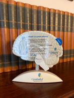 Mooi anatomisch model hersenen, Ophalen of Verzenden