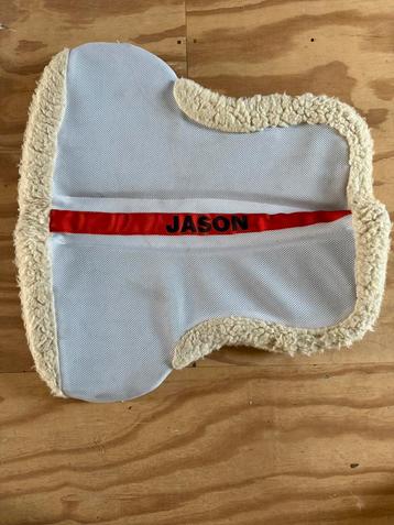 Zadelbontje van Jason beschikbaar voor biedingen