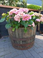 Eikenhouten Bloembak Plantenbak Whiskeyvat 100 liter, Tuin en Terras, Bloembakken en Plantenbakken, Ophalen, Rond, Nieuw, Tuin