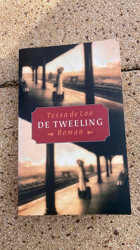 De Tweeling - Tessa de Loo (Gelezen), Boeken, Romans, Gelezen, Nederland, Ophalen