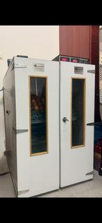 Uitbroedservice Sittard en omgeving, Geslacht onbekend, Kip