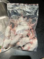 17 volwassen diepvriesmuizen, Dieren en Toebehoren, Ophalen, Reptiel of Amfibie