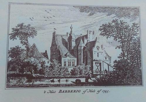 Huis Babberig of Hals 1745, Antiek en Kunst, Kunst | Etsen en Gravures, Ophalen of Verzenden