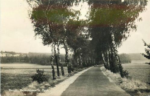 (387-253-011) Beek Berkenlaan, Verzamelen, Ansichtkaarten | Nederland, Gelderland, Verzenden