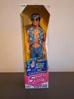 Vintage Sindy Paul Summer Look Barbie Pop 1994 hasbro, Ophalen of Verzenden, Gebruikt, Barbie