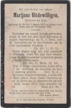 Marijnus Uitdewilligen 1837 Wouw + 1902 Wouw, 65 jaar, Verzamelen, Bidprentjes en Rouwkaarten, Verzenden