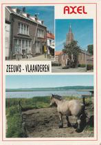 AXEL Museum Noordstraat Kerk Paard, Verzenden, 1980 tot heden, Gelopen, Zeeland