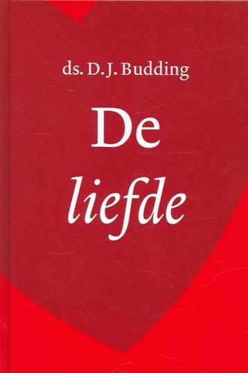 De Liefde   Ds D.J. Budding  9789058299604  beschikbaar voor biedingen