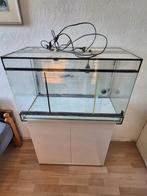 Terrarium met kast, Dieren en Toebehoren, Reptielen en Amfibieën | Toebehoren, Ophalen, Gebruikt, Terrarium of Paludarium