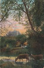 KOE KOEIEN BOERDERIJ UIT 1905 ZEER MOOIE OUDE KAART KK99, Verzenden, Voor 1920, Gelopen, Overige thema's