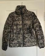Airforce jas Dames Maat S, Overige kleuren, Airforce, Ophalen of Verzenden, Zo goed als nieuw