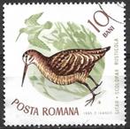 Roemenië 1965 mi.2431  vogel HOUTSNIP, Overige landen, Verzenden, Gestempeld