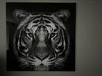 Glas schilderij tijger/ leeuw en panter, 75 tot 100 cm, Schilderij, Ophalen of Verzenden, Zo goed als nieuw