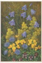 Bloemen OUDE SET, Verzenden, Ongelopen, Natuur