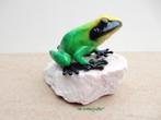 047* Bronzen kikker op steen (Boven €75 geen verzendkosten), Ophalen of Verzenden, Nieuw, Overige materialen, Dierenbeeld