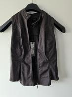 Nieuw G-Star Jasje Maat S, Nieuw, Ophalen of Verzenden, G-Star, Maat 36 (S)