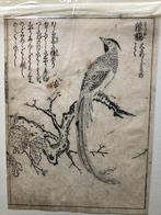 Japanse / Chinese inkt tekening van een vogel (woodblock), Antiek en Kunst, Kunst | Tekeningen en Foto's, Ophalen of Verzenden