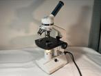 Euromex microscoop met verlichting, Ophalen of Verzenden, Gebruikt, 400x tot 1000x