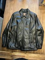Harley Davidson Leren Damesjas, Motoren, Ophalen, Jas | leer, Harley Davidson. Origineel., Nieuw zonder kaartje