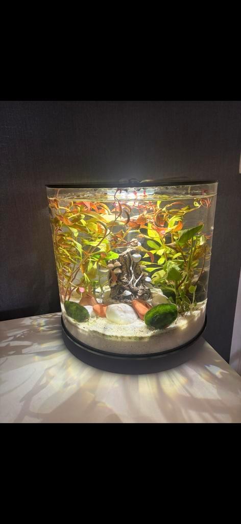 Biorb 15 mcr, Dieren en Toebehoren, Vissen | Aquaria en Toebehoren, Zo goed als nieuw, Leeg aquarium, Ophalen