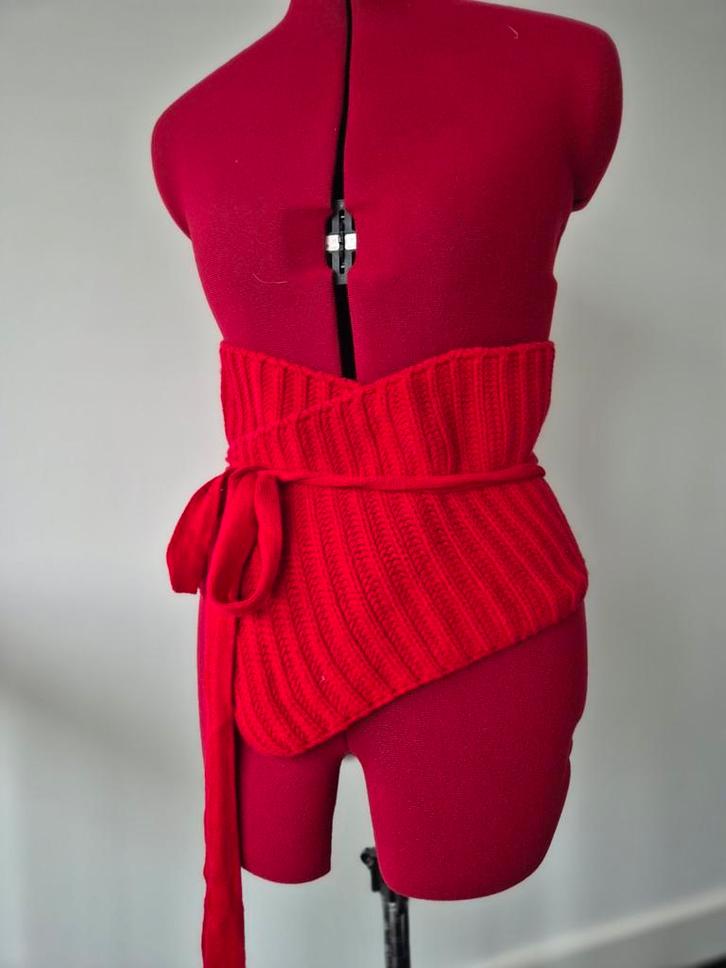 Rode ceintuur / riem - verstelbaar, Kleding | Dames, Riemen en Ceinturen, Zo goed als nieuw, Tailleriem, 100 cm of meer, 5 cm of meer