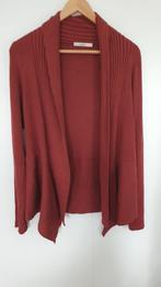 Nieuw vest van Esprit, terra kleur, bruin, Ophalen of Verzenden, Nieuw, Maat 38/40 (M), Rood