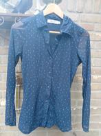 Old school Sissy Boy VOOR €14,- incl, Kleding | Dames, Blouses en Tunieken, Ophalen of Verzenden, Zo goed als nieuw, Groen