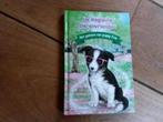 Daisy Meadows, "Het geheim van puppy Evie", Ophalen of Verzenden, Zo goed als nieuw
