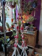 Leuke plantenhanger met kralen, Overige materialen, 50 tot 75 cm, Nieuw, Ophalen of Verzenden