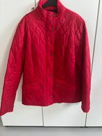Barbour damesjas maat 42 Nieuw en ongedragen, Kleding | Dames, Ophalen of Verzenden, Nieuw, Maat 42/44 (L), Rood