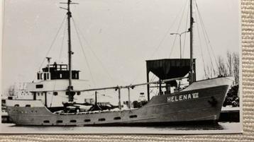 Helena VII  1955 ex Tuko  - werf vd Werff beschikbaar voor biedingen