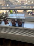 glass plant container / glazen plantenbak, Huis en Inrichting, Kasten | Vitrinekasten, Ophalen, Minder dan 50 cm, Gebruikt, Glas