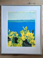 Zeefdruk van Jeroen Krabbé – Eiland-serie (1996), Ophalen