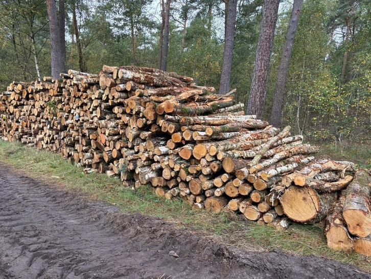 Beschikbaar: vracht rondhout berk, Tuin en Terras, Haardhout, Stammen, 6 m³ of meer, Ophalen