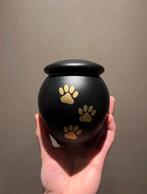 Urn kat, Overige kleuren, Ophalen of Verzenden, Minder dan 50 cm, Glas