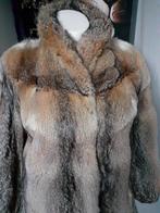 Waanzinnige echte coyote bontjas bont jas bontjasje M/L, Ophalen of Verzenden, Zo goed als nieuw, Maat 38/40 (M), Bruin