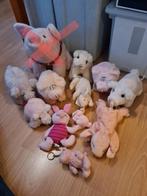 Varken knuffels. Nieuw /z.g.a.n., Ophalen of Verzenden, Nieuw