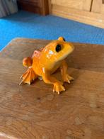 Kikkers 3x, Ophalen of Verzenden, Nieuw, Dier