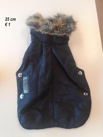 Hondenkleding: kleine hondjes beschikbaar voor biedingen