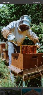 Gezocht Imker zoekt plaats voor bijen kasten, Bijen