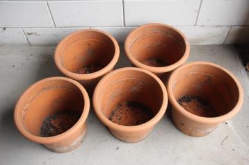 bloempot  5 x beschikbaar voor biedingen