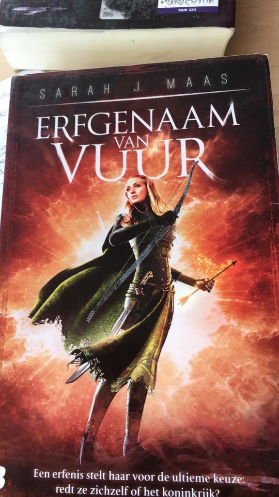 Erfgenaam van Vuur- deel 3 van de serie De Glazen Troon, Boeken, Fantasy, Gelezen, Ophalen