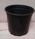 Kweekpotten 1,5 liter, Kunststof, Gebruikt, Rond, Ophalen of Verzenden