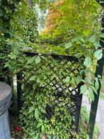 Plastic plantenbakken voor klimplanten, Ophalen, Kunststof, Minder dan 60 cm, Vierkant