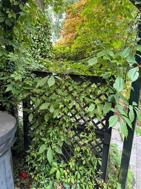 Plastic plantenbakken voor klimplanten, Tuin en Terras, Bloembakken en Plantenbakken, Zo goed als nieuw, Kunststof, Tuin, Minder dan 60 cm
